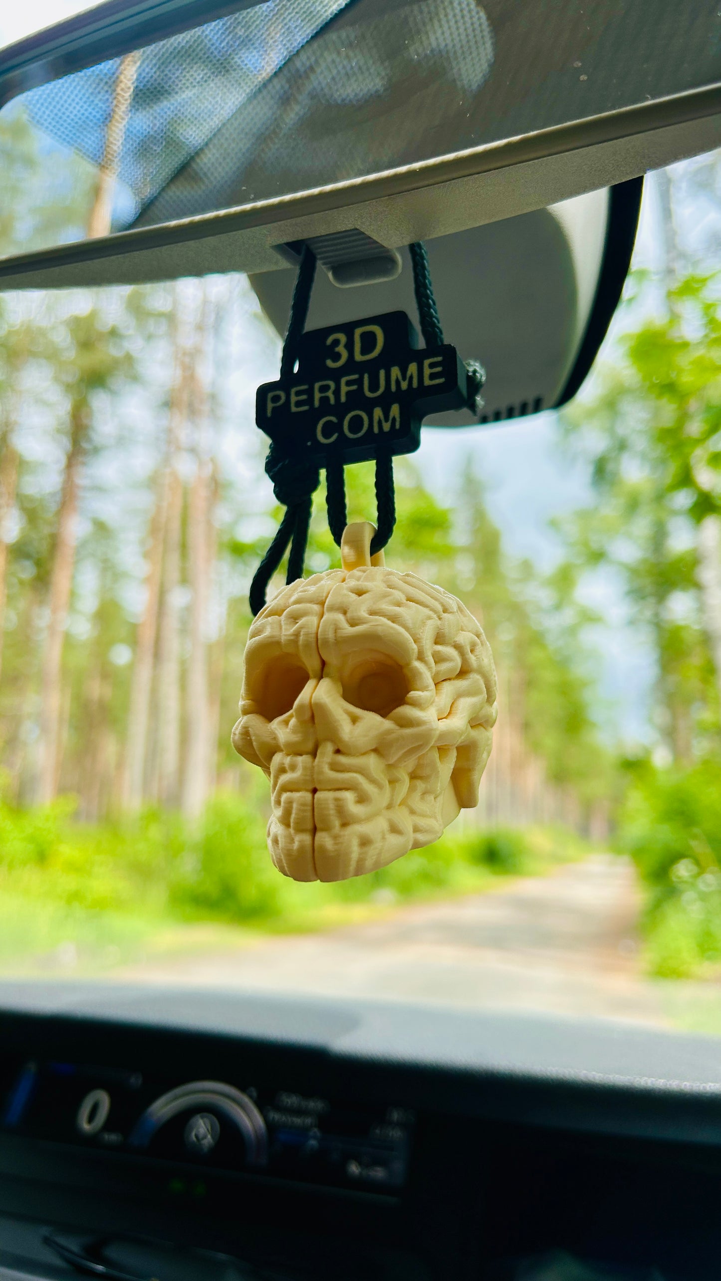 BRAIN SKULL car airfreshener