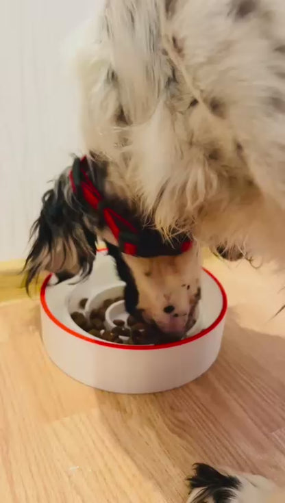 Dog Slow Feeder Bowl LABIRINTAS – with custom Pet Name